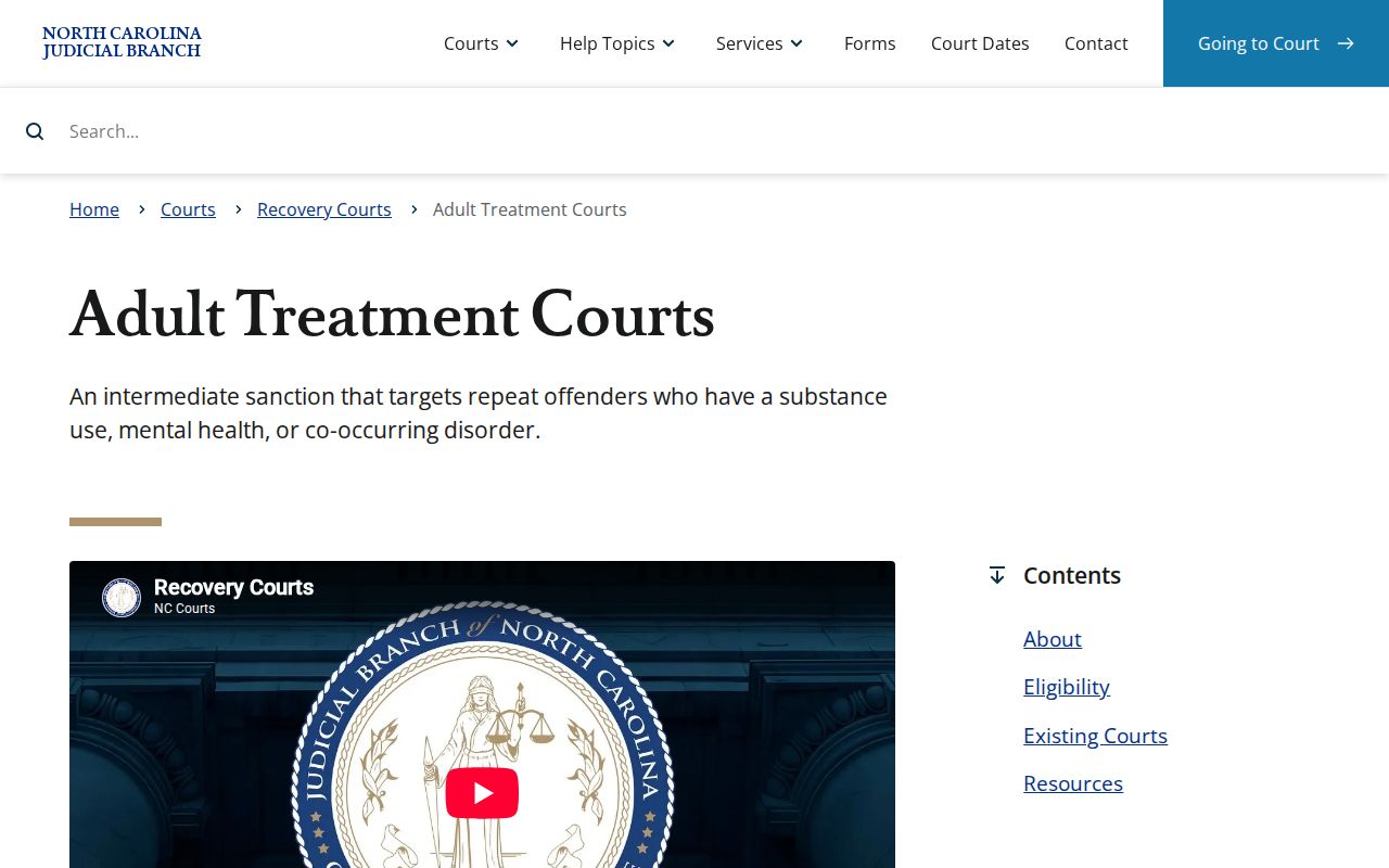 Yancey criminal docket Adult Treatment Court source